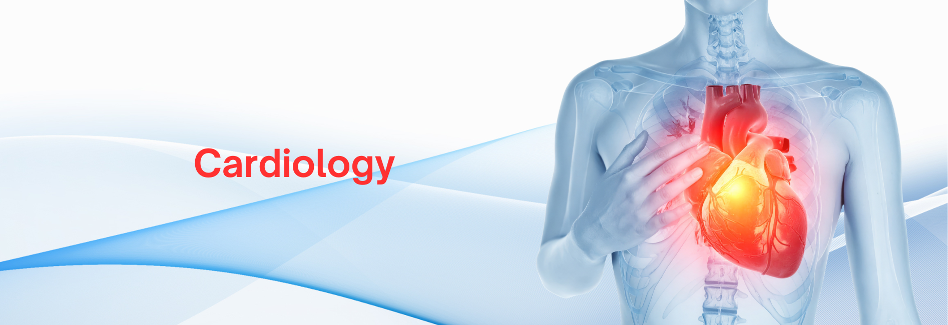 Cardiology