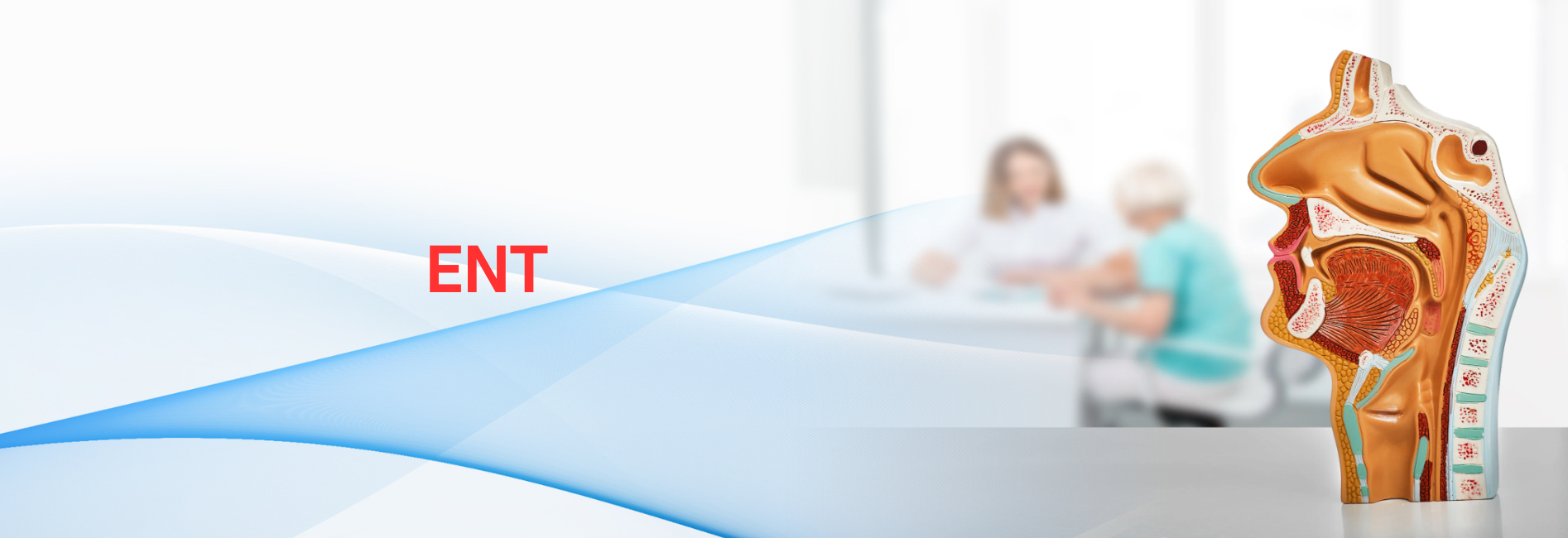 ENT