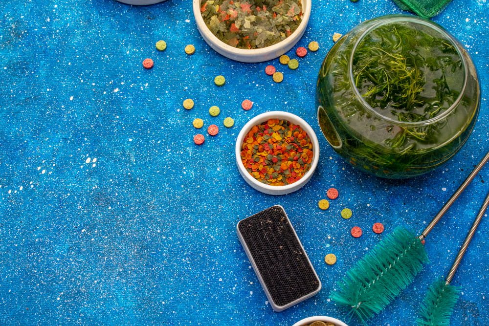 Microplastics in Food and Water